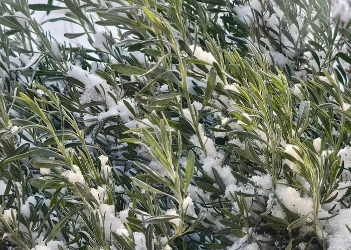 Rifugio Retreat Han/Misafirhane