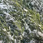 Rifugio Retreat بيت ريفي