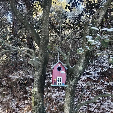 Мини-отель Rifugio Retreat *