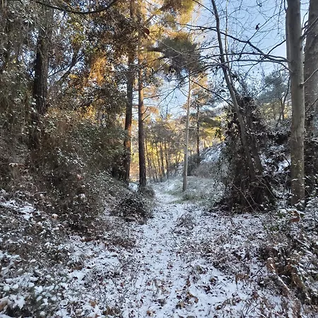 Gasthof Rifugio Retreat *