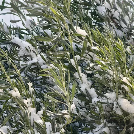 Rifugio Retreat Мини-отель