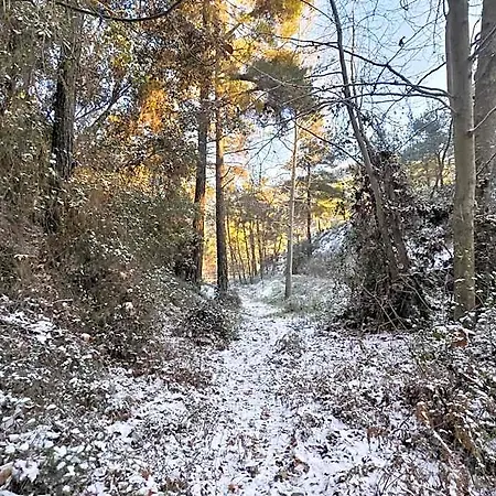 Rifugio Retreat * 卡科佩特里亚