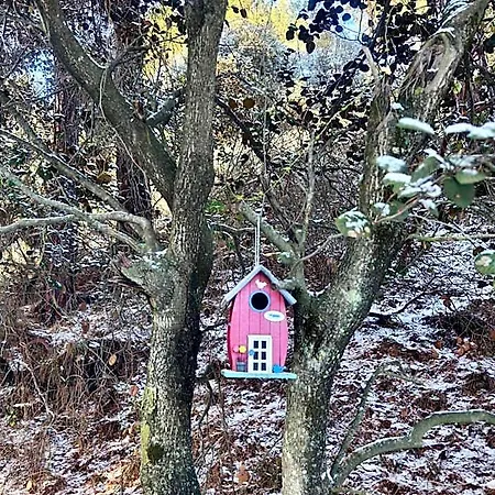 Rifugio Retreat 宾馆